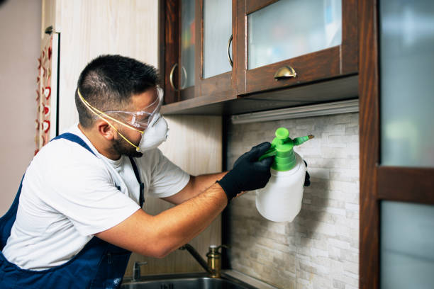 Best Residential Pest Control  in Alorton, IL