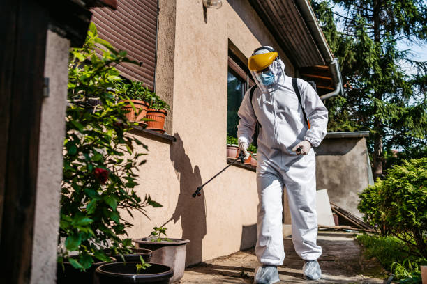 Pest Control for Restaurants in Alorton, IL