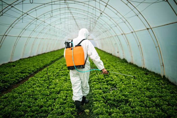 Best Emergency Pest Control  in Alorton, IL