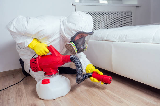 Best Mosquito Control Services  in Alorton, IL